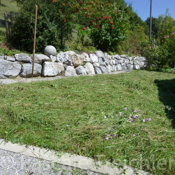 20110817-Kiesbeet - (114)