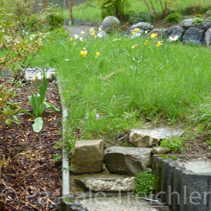 20120420-Kiesbeet - 209