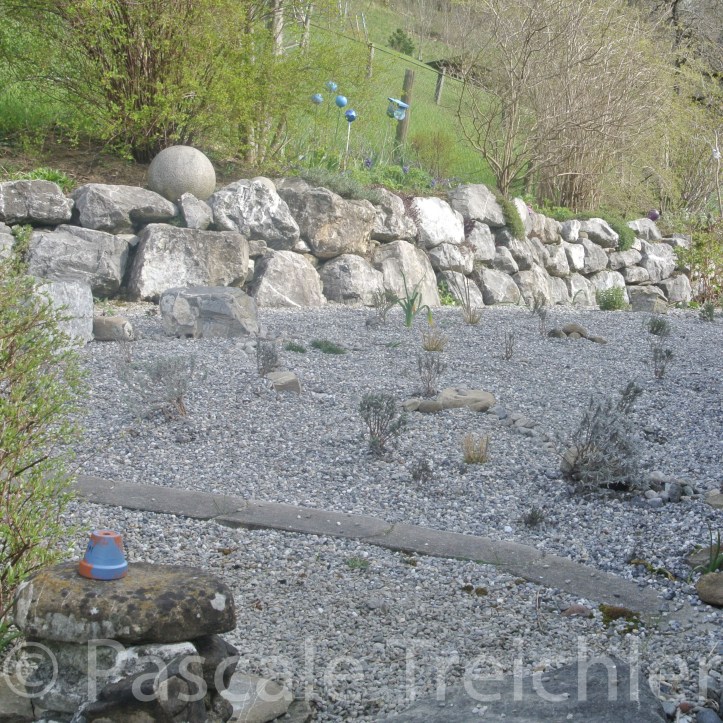 20150412-Kiesbeet - 04 064