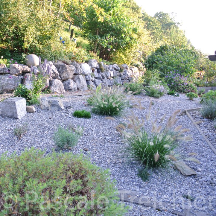 20150901-Kiesbeet - 09 015