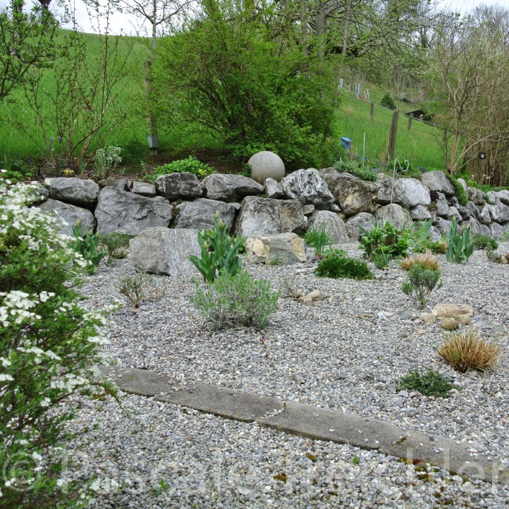 20160406-Kiesbeet 2016.04 164