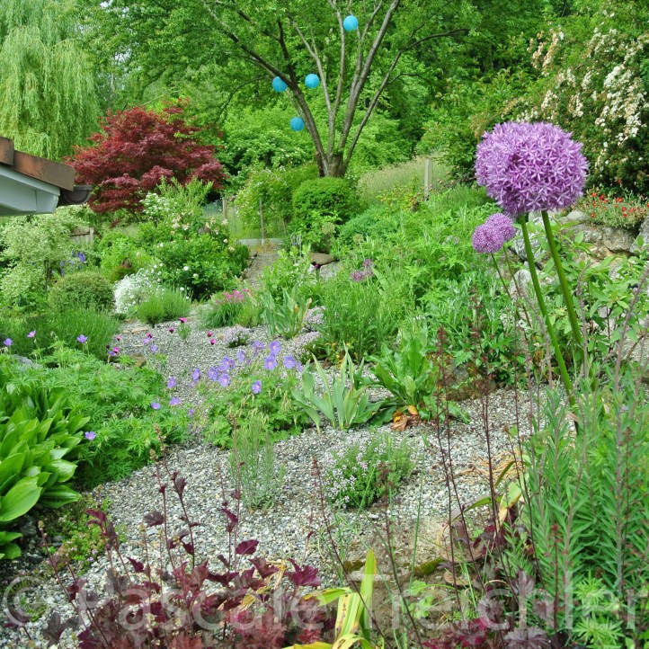 20160528-Kiesbeet - 05 181