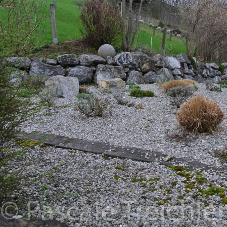 20170320-Kiesbeet ._2def