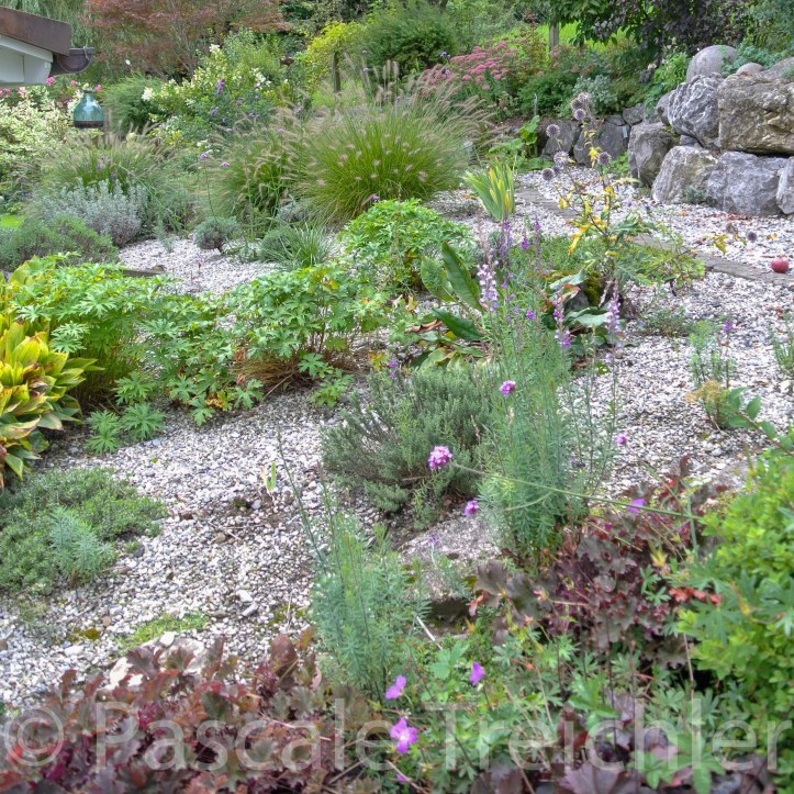 20170910-Kiesbeet 6193