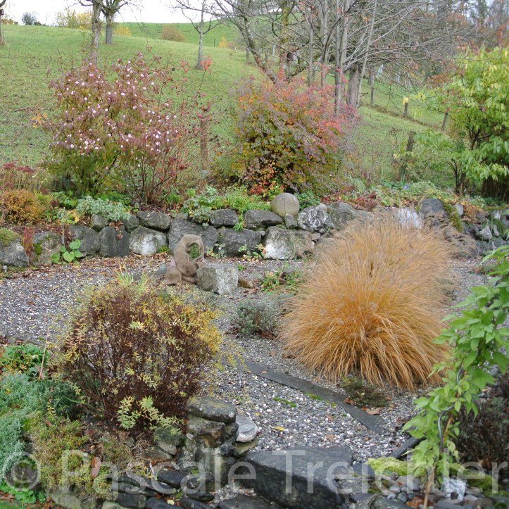 20171111-2017.11.7005