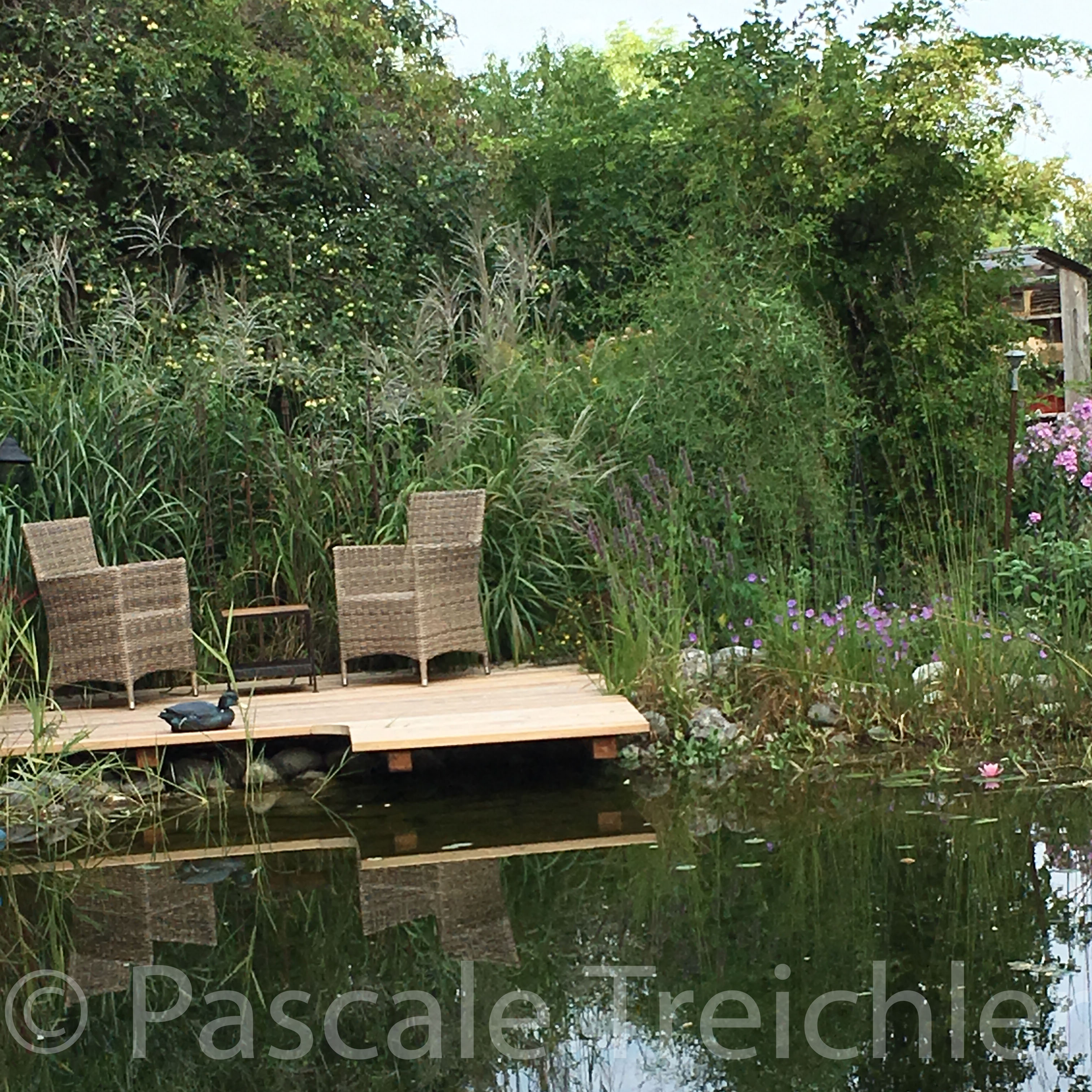 20180802-2018.08.8158