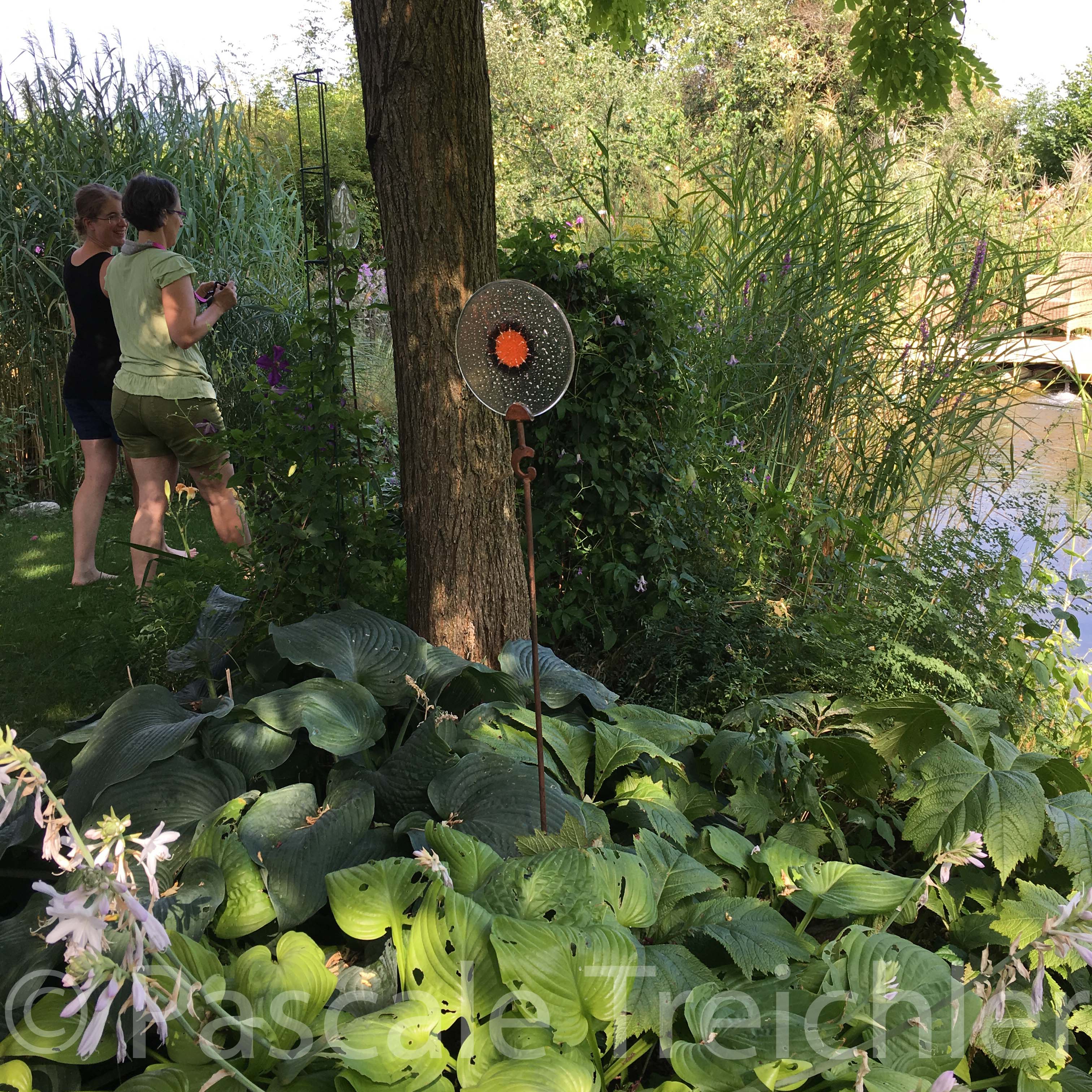 20180802-2018.08.8159