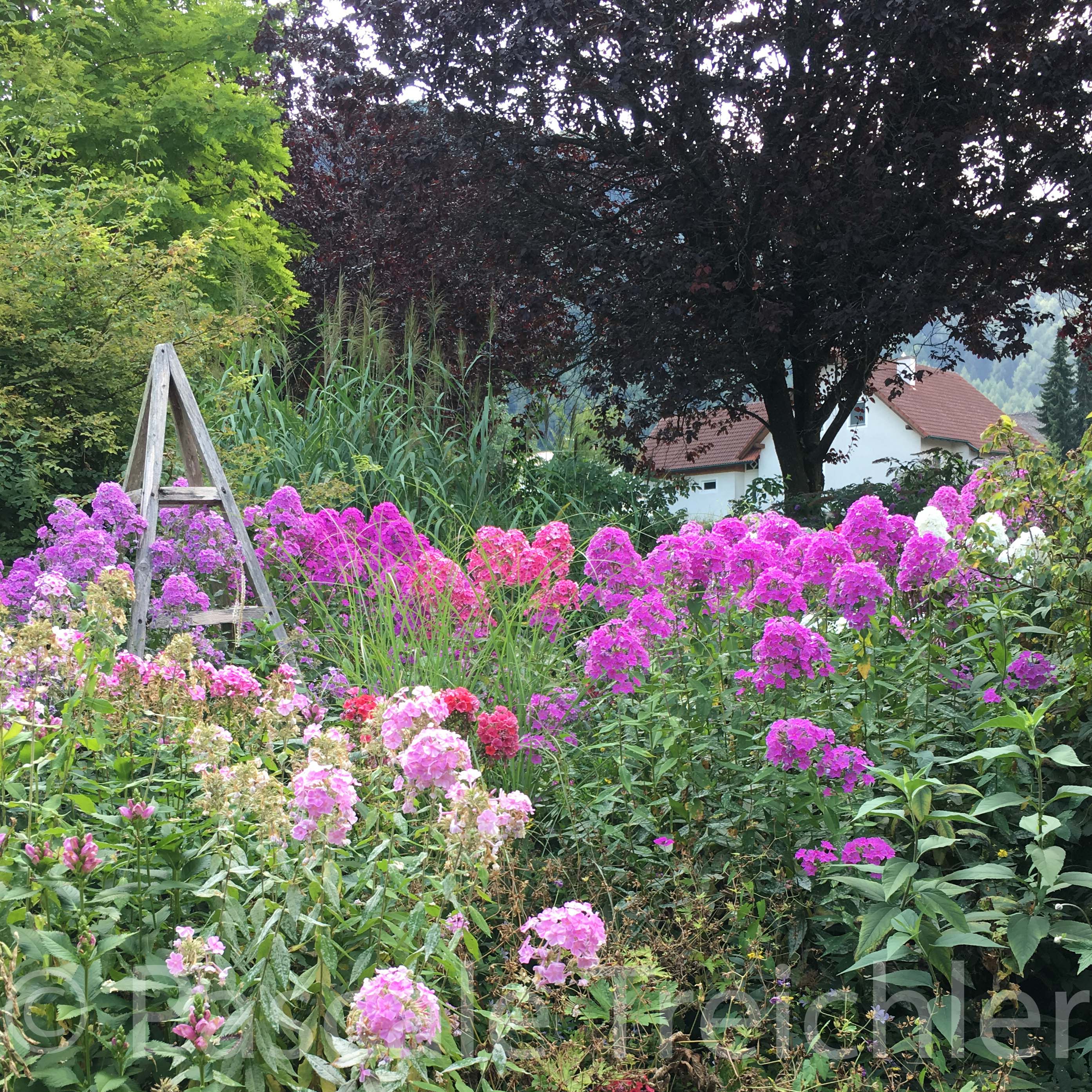 20180802-2018.08.8172