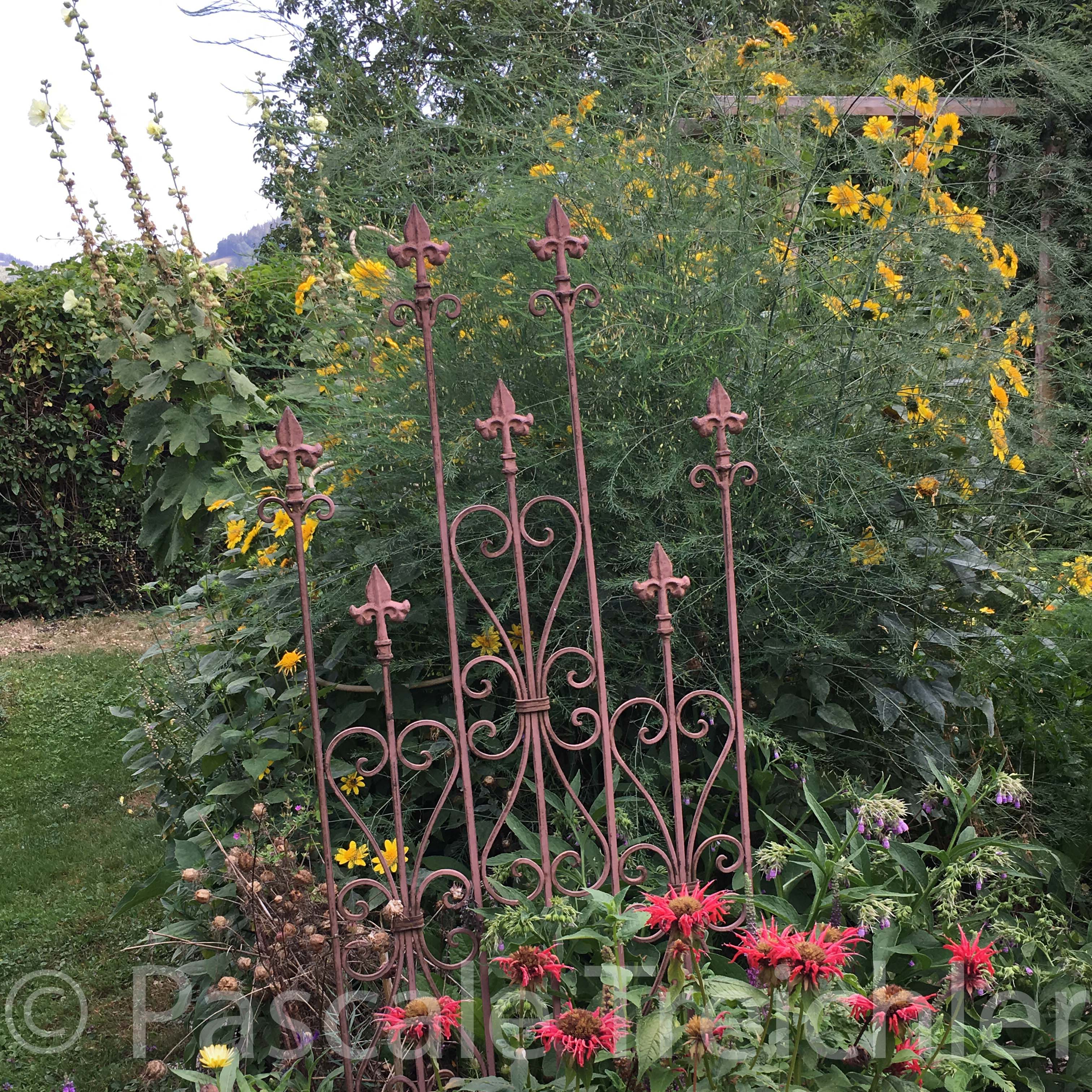 20180802-2018.08.8217