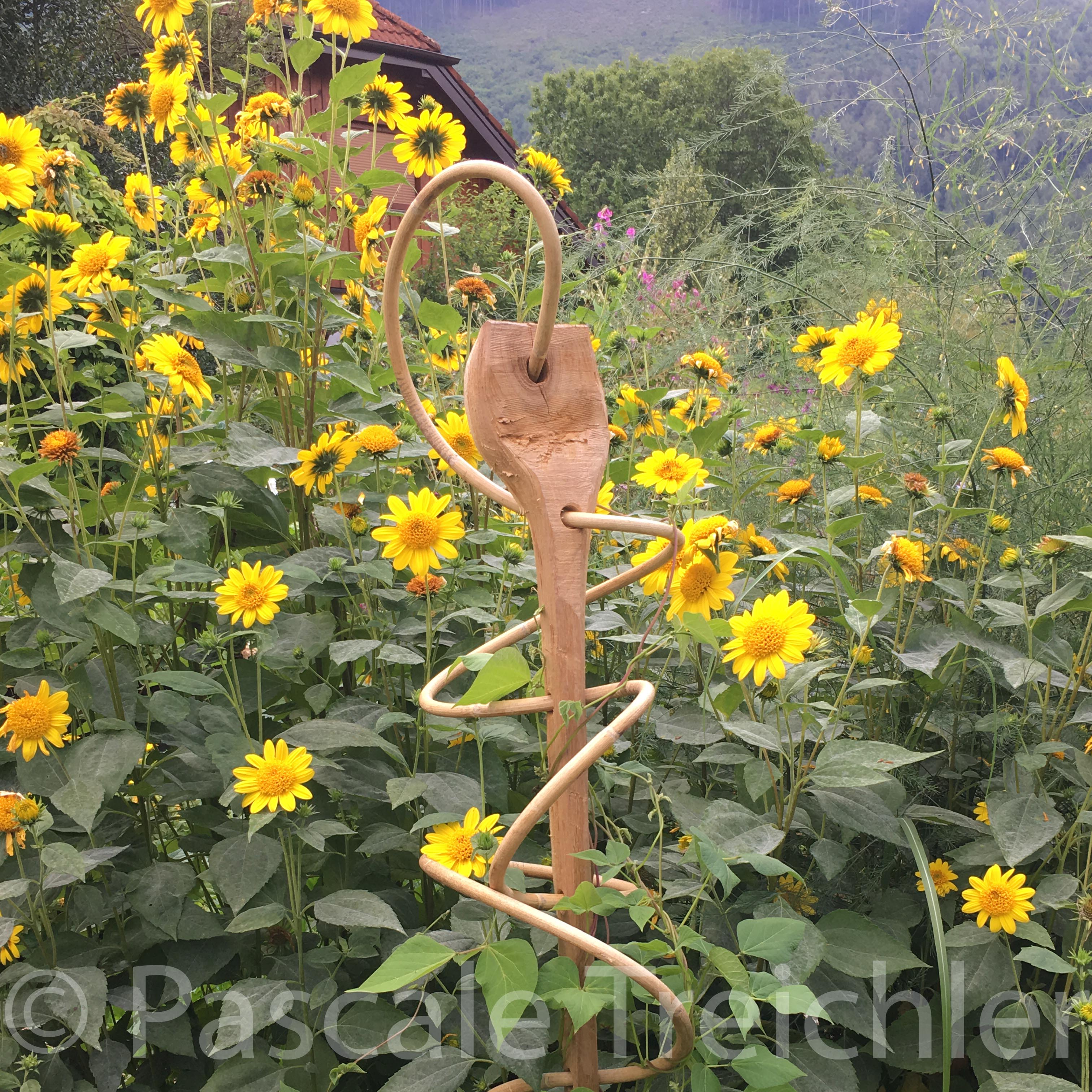 20180802-2018.08.8218