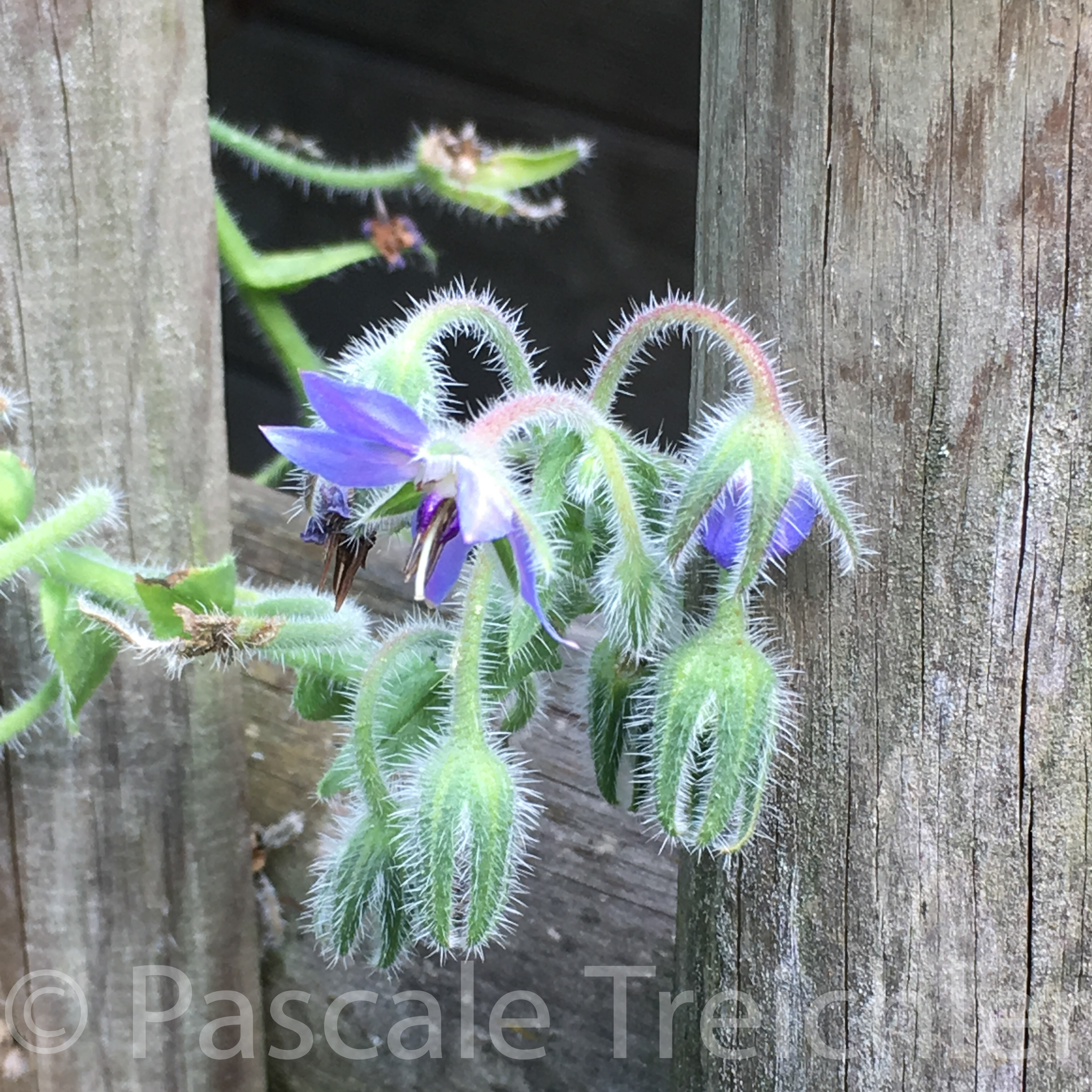 20180802-2018.08.8230