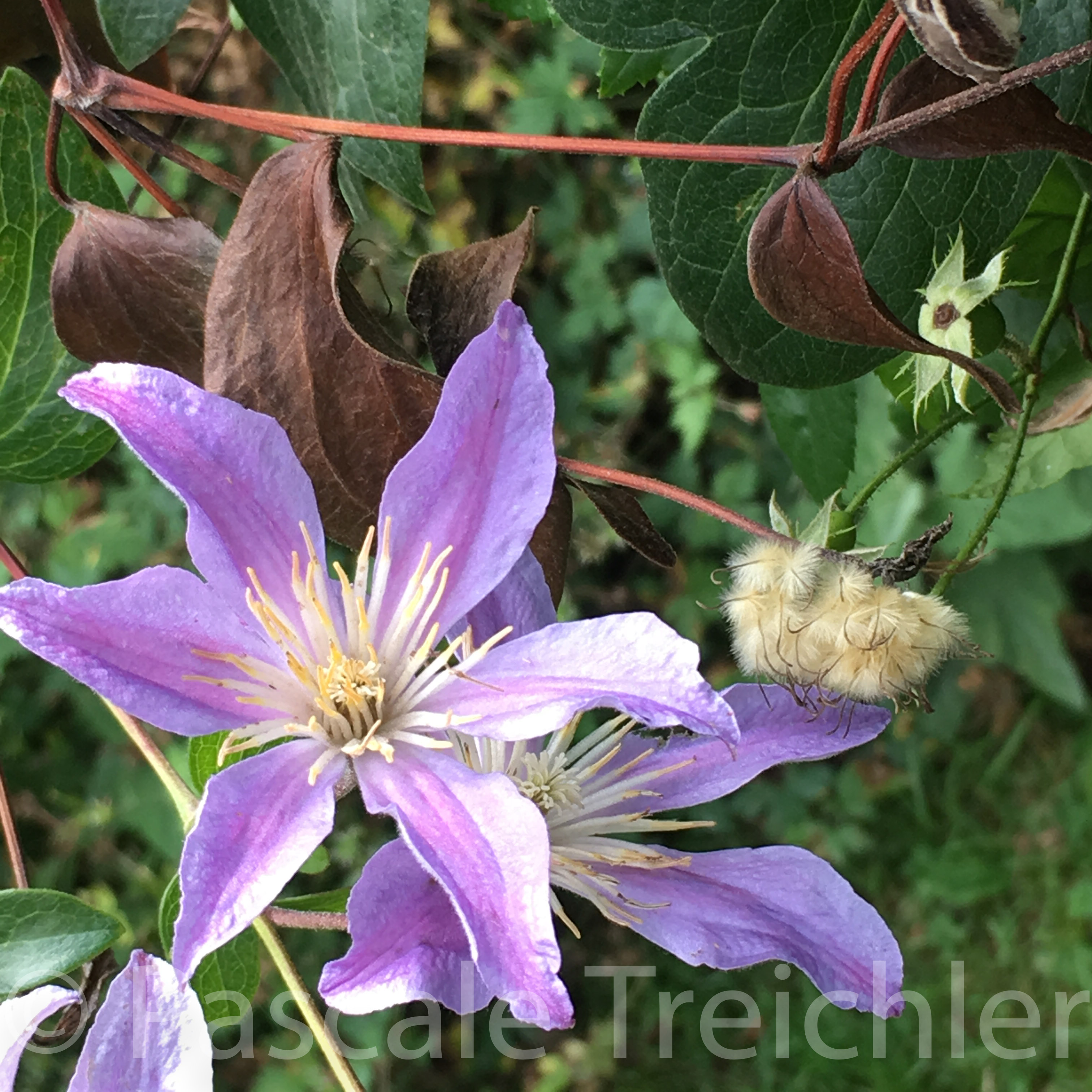 20180802-2018.08.8235