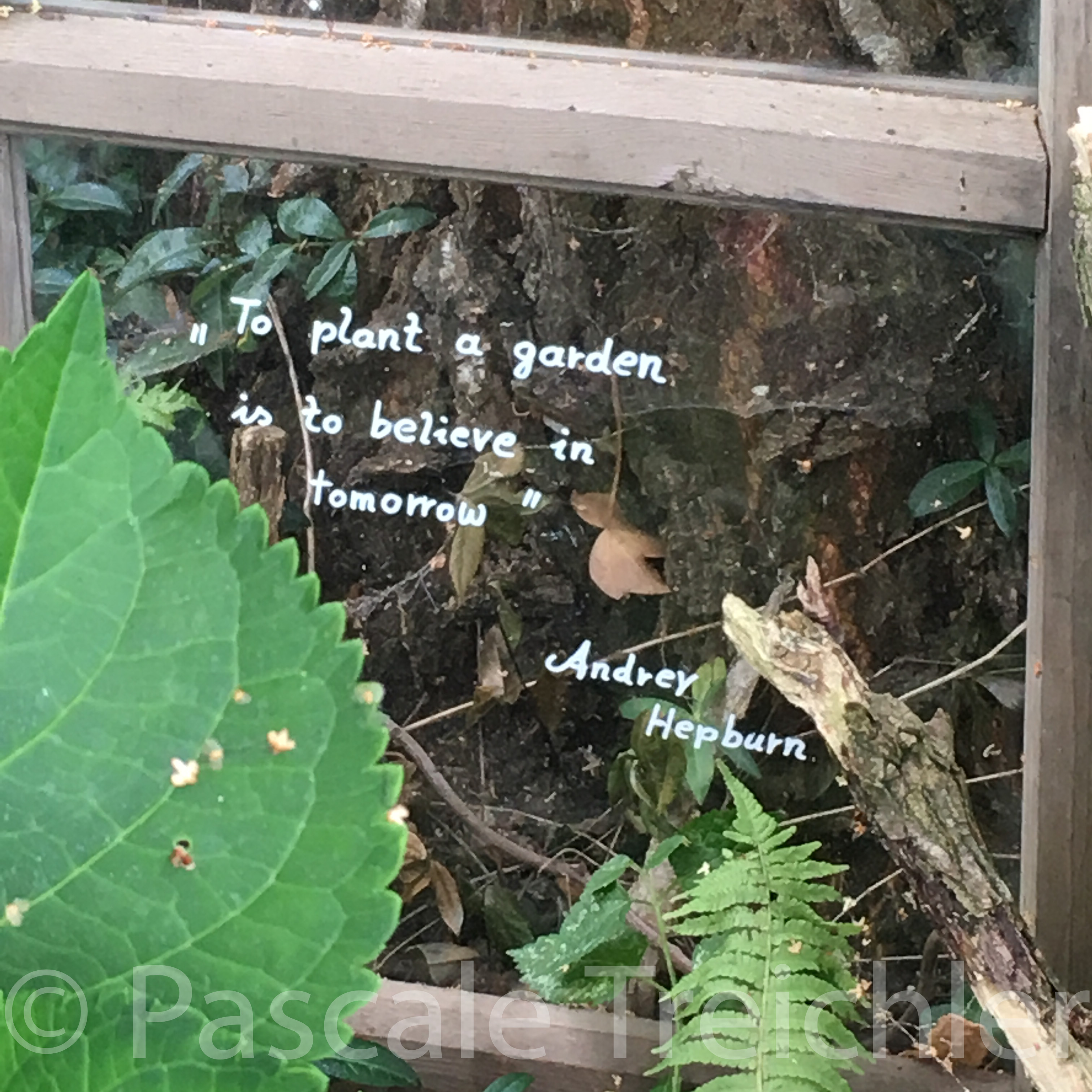 20180802-2018.08.8255