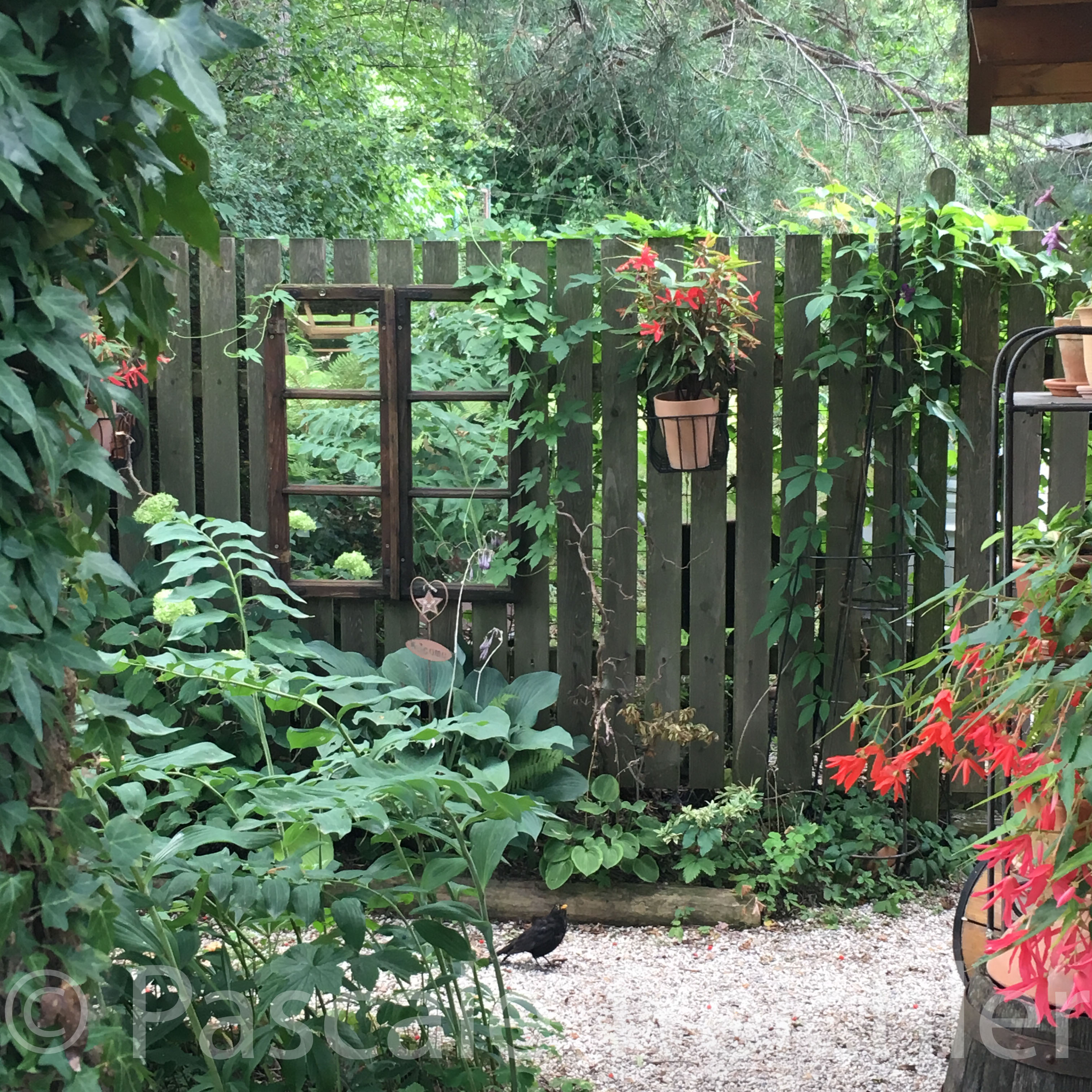 20180802-2018.08.8281