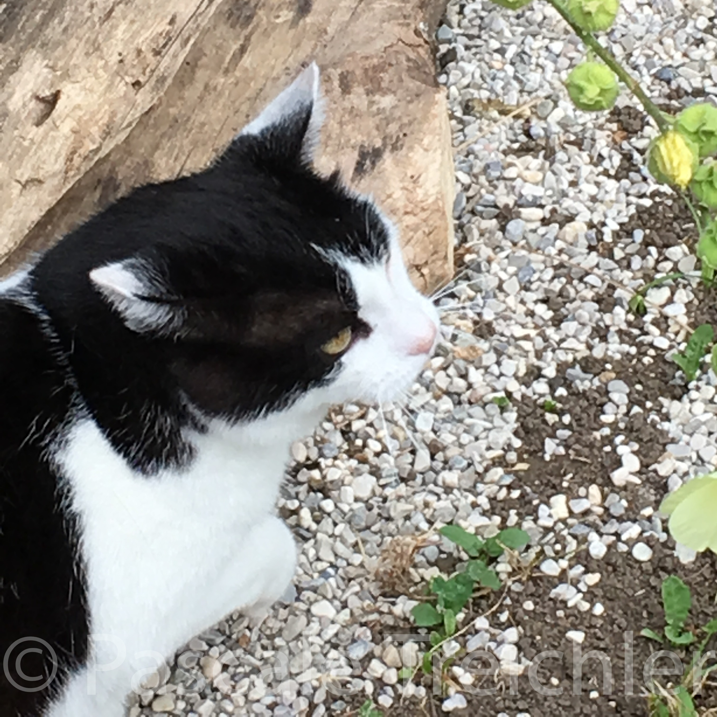 20180802-2018.08.8312