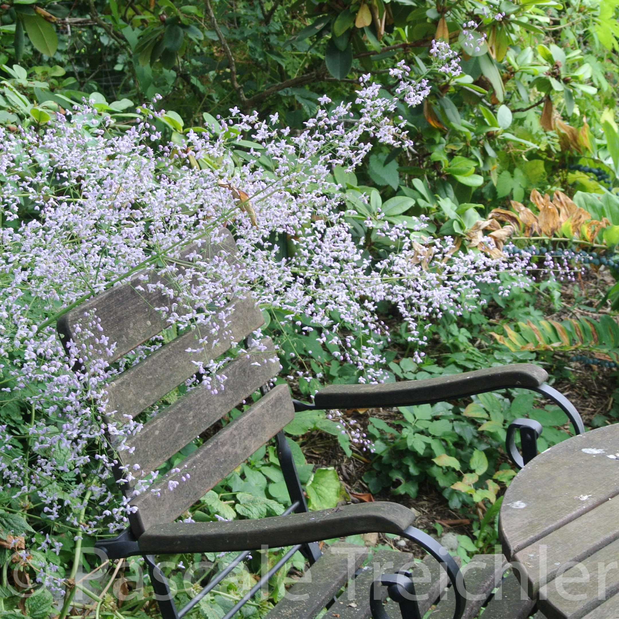 20180802-2018.08.8403