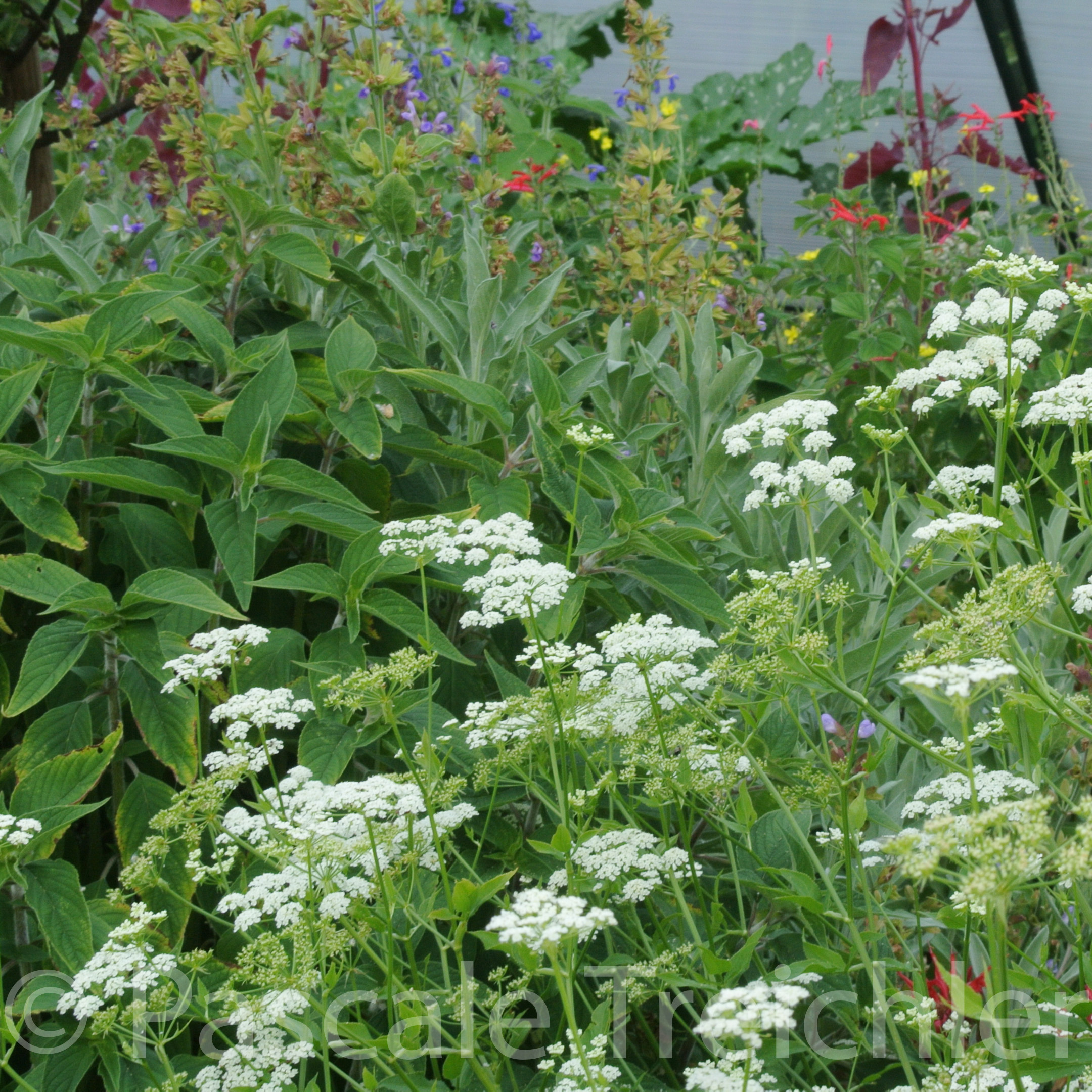 20180802-2018.08.8424