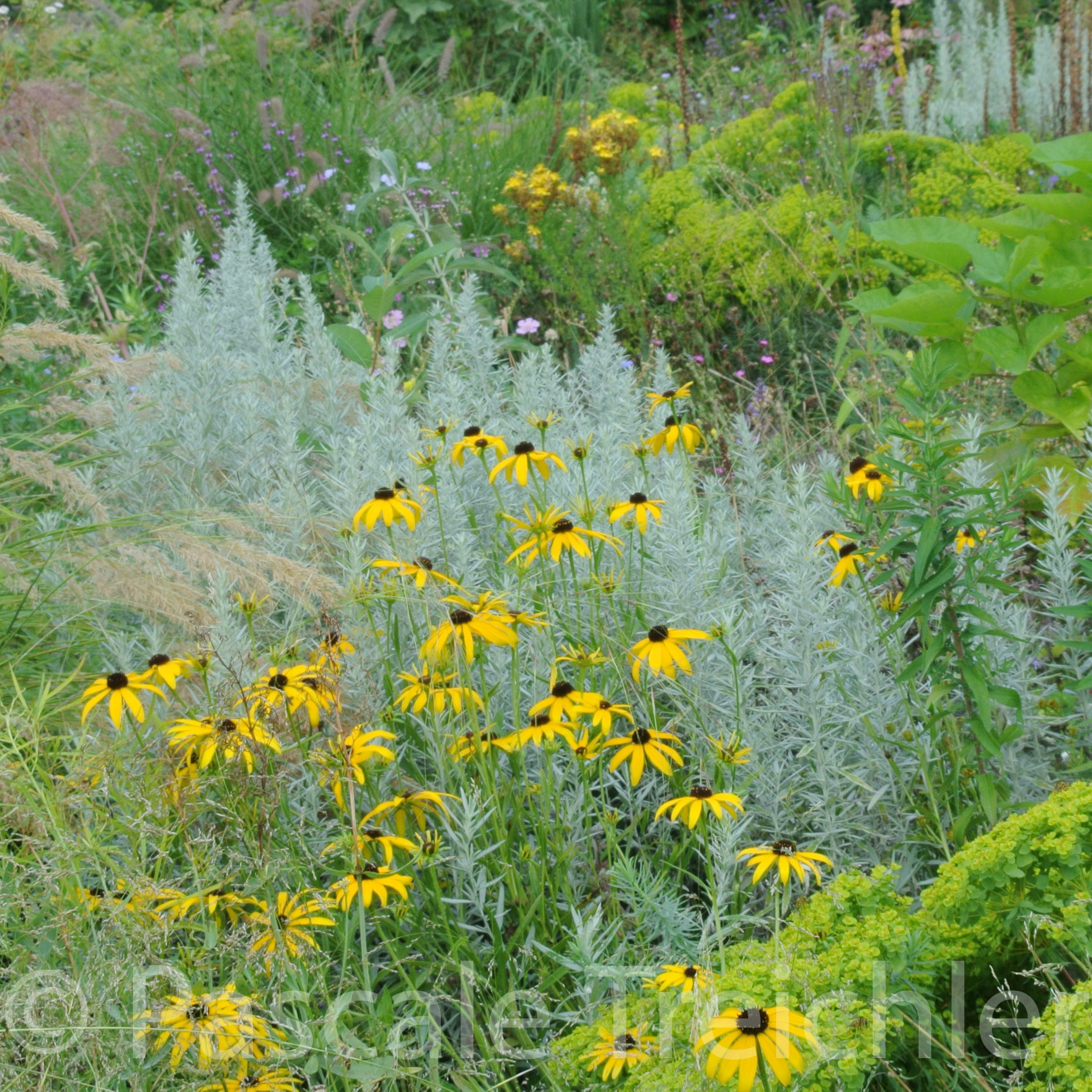 20180802-2018.08.8429