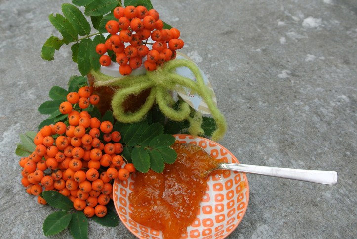 20180811-Eberesche 8452