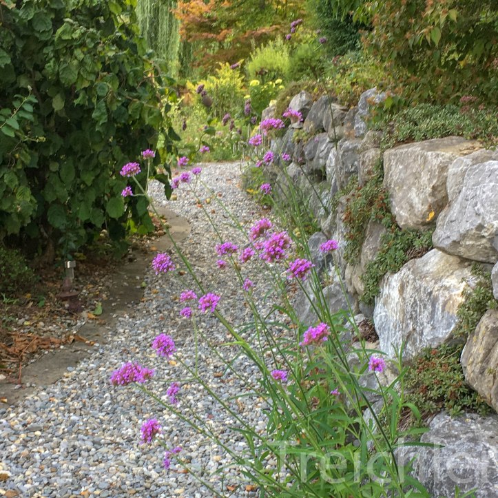 20180802-2018.08.8356