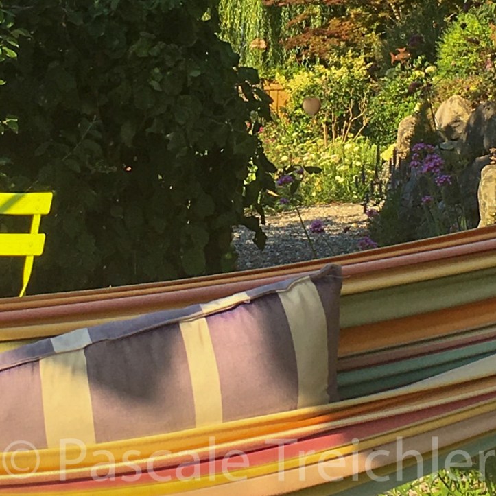 20180803-2018.08.7970