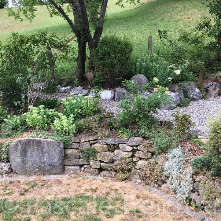 20180807-2018.08.8416