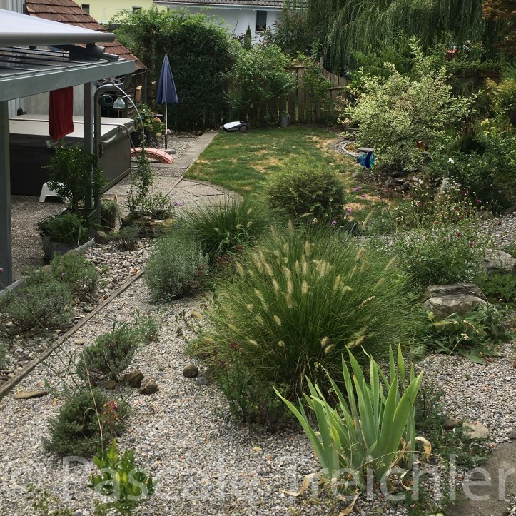 20180807-2018.08.8452