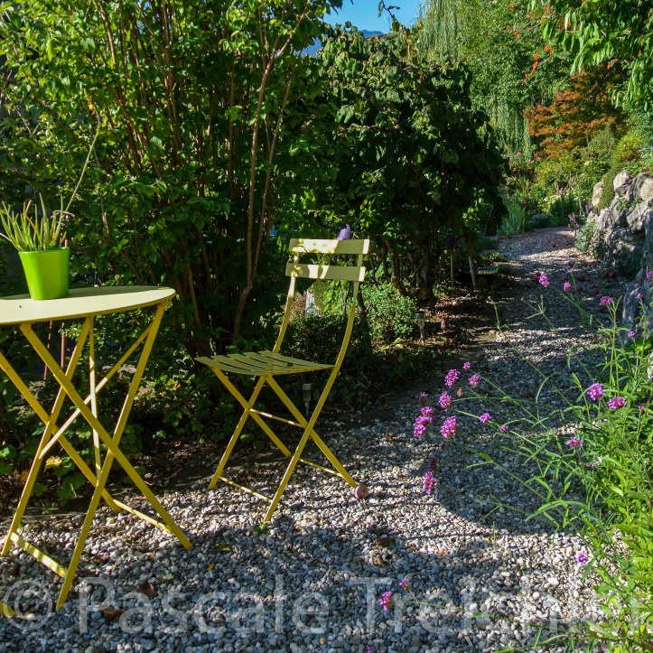 20180909-2018.09 Garten 8727