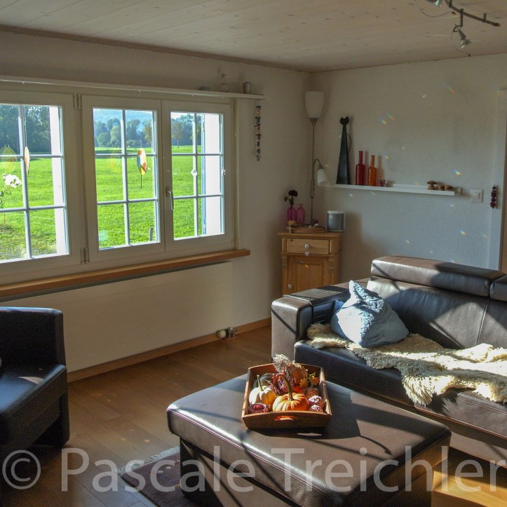 20180909-2018.09 Wohnzimmer 8691