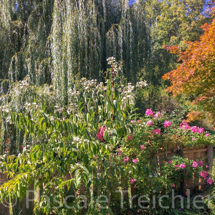 20180917-2018.09. 9008