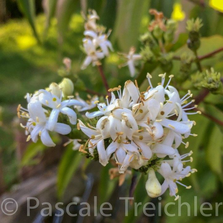 20180920-2018.09. 9081