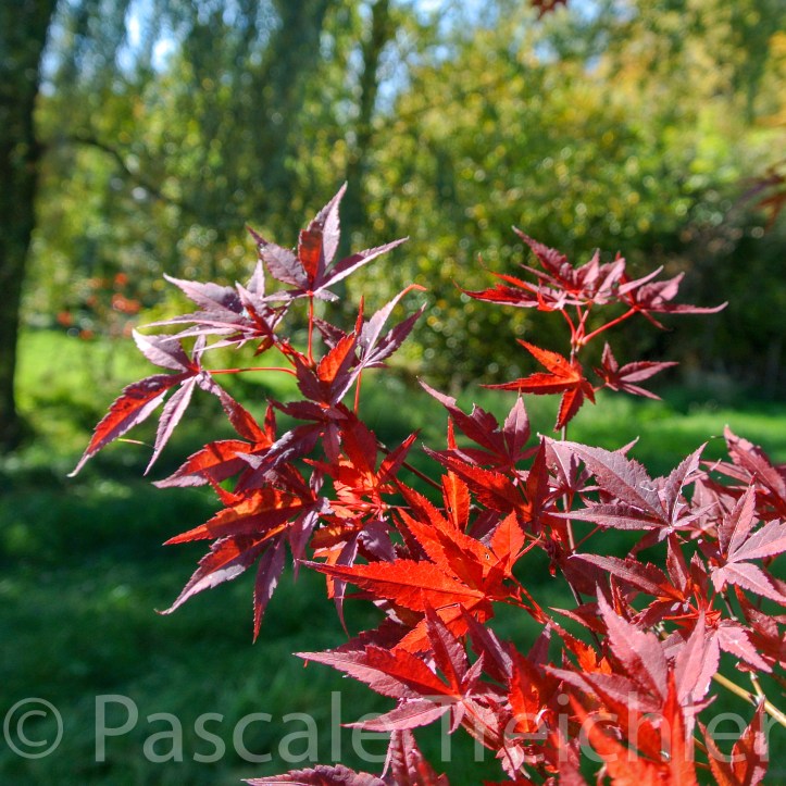 20171018-2017.10 6931