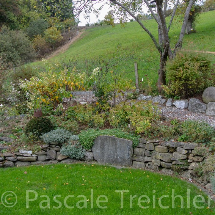 20171021-2017.10 6946