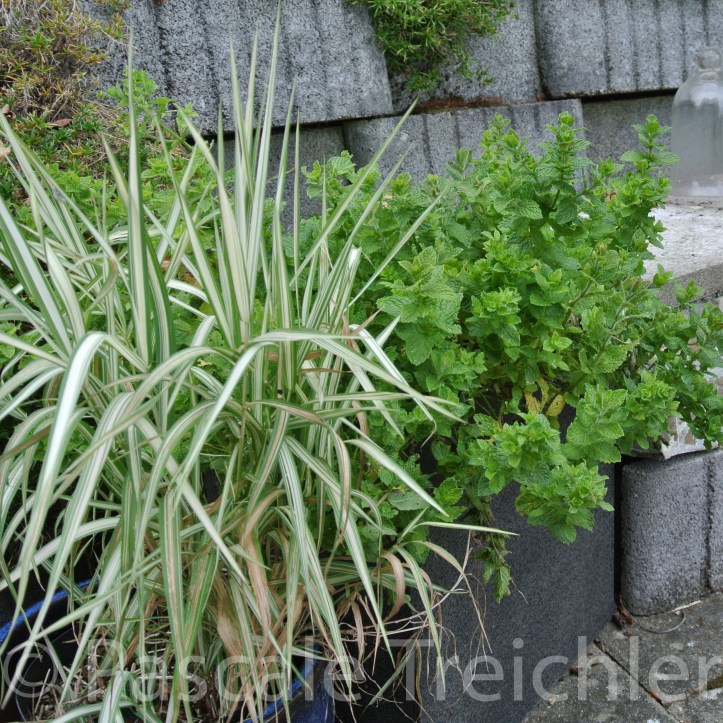 20171021-2017.10 6973