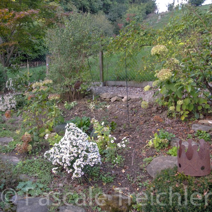 20180923-2018.10.8820