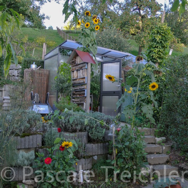 20180923-2018.10.8854