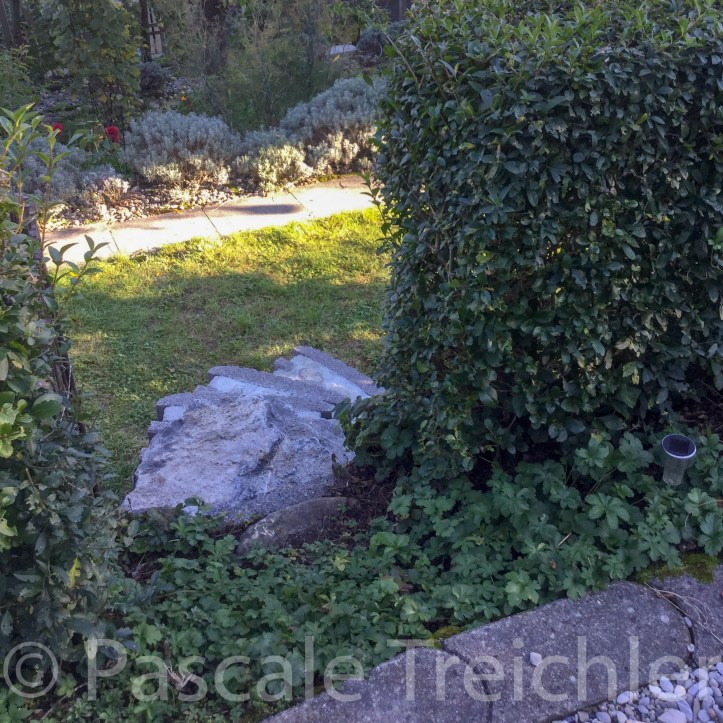 20181004-2018.10.1426