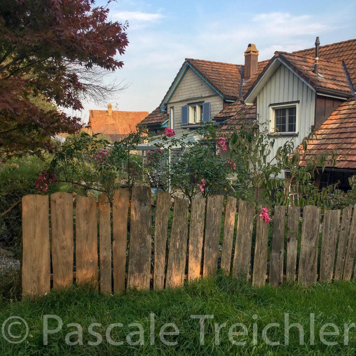 20181019-2018.10.9424