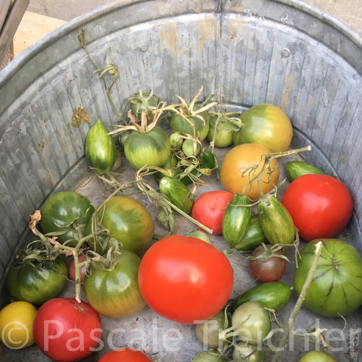 20181019-2018.10.9428