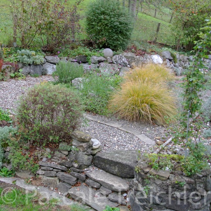 20181029-2018.10.8894