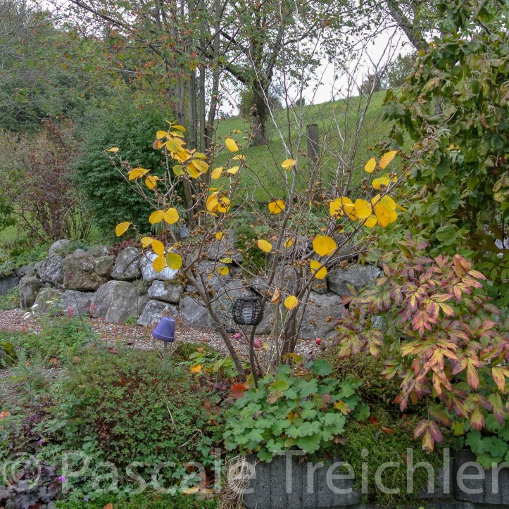 20181029-2018.10.8899