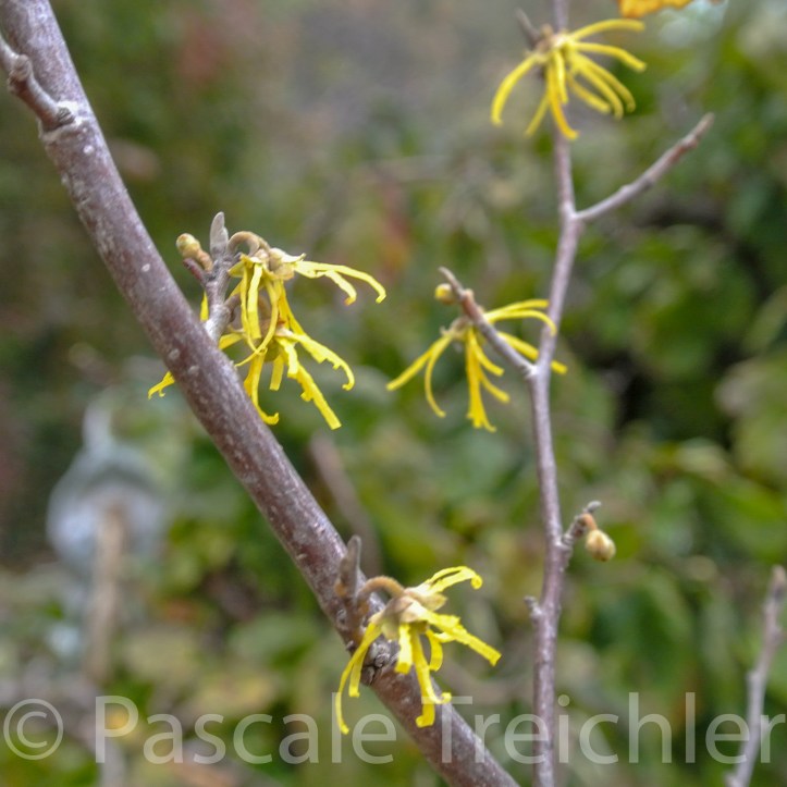 20181029-2018.10.8902