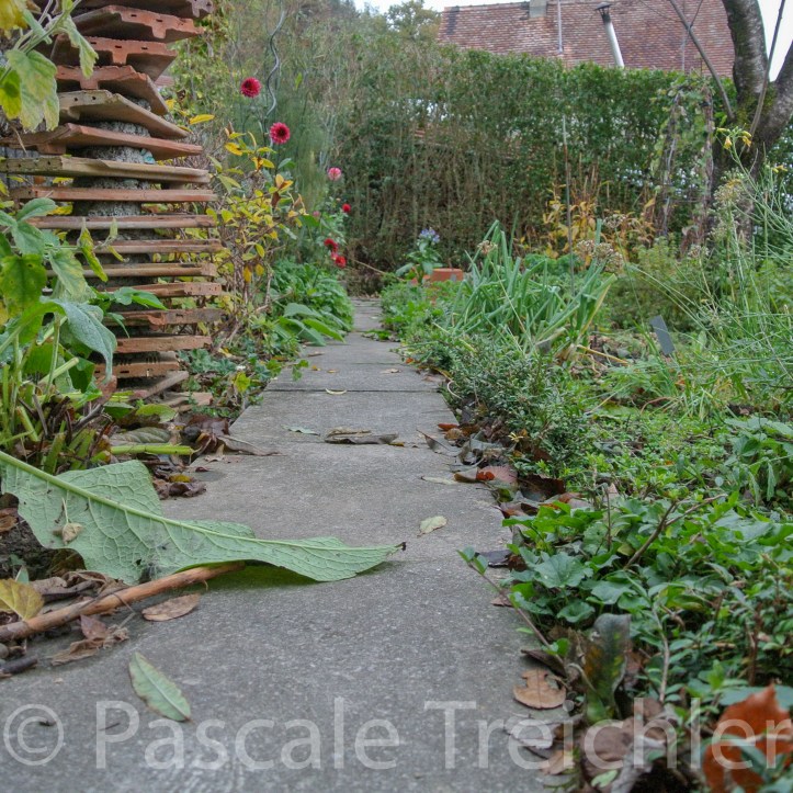 20181029-2018.10.8909