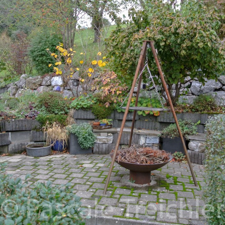 20181029-2018.10.8918