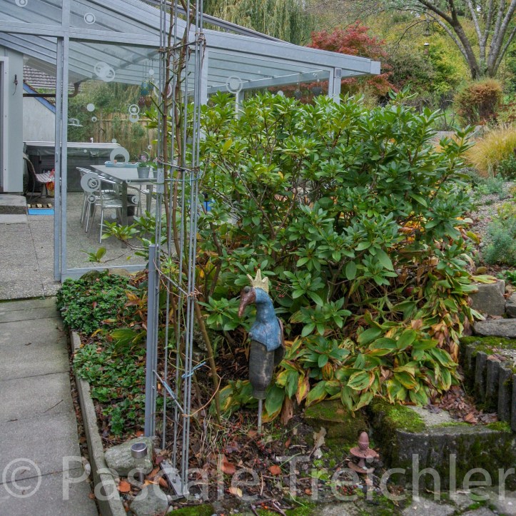 20181029-2018.10.8919