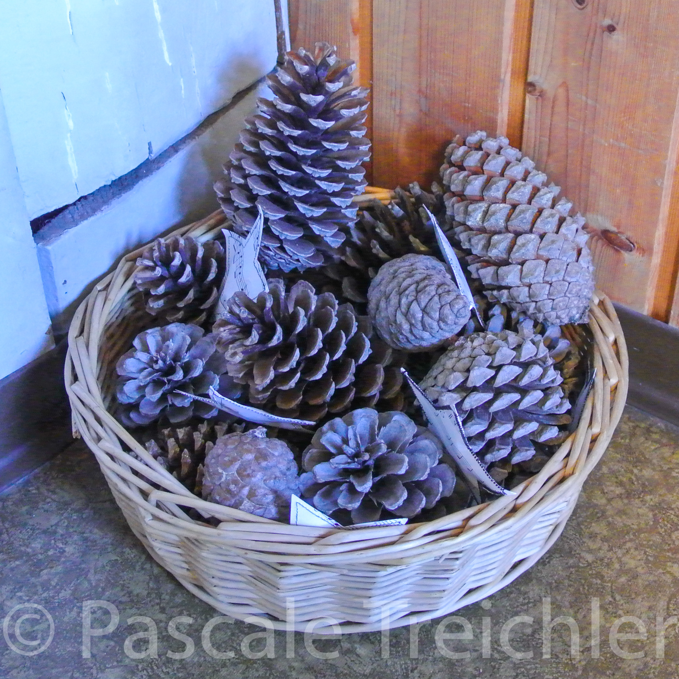 20181117-2018 Sterne Papier Duft Duftsterne9004