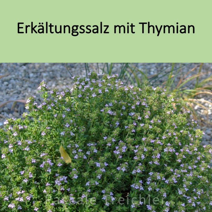 Titel Erkältungssalz.jpg