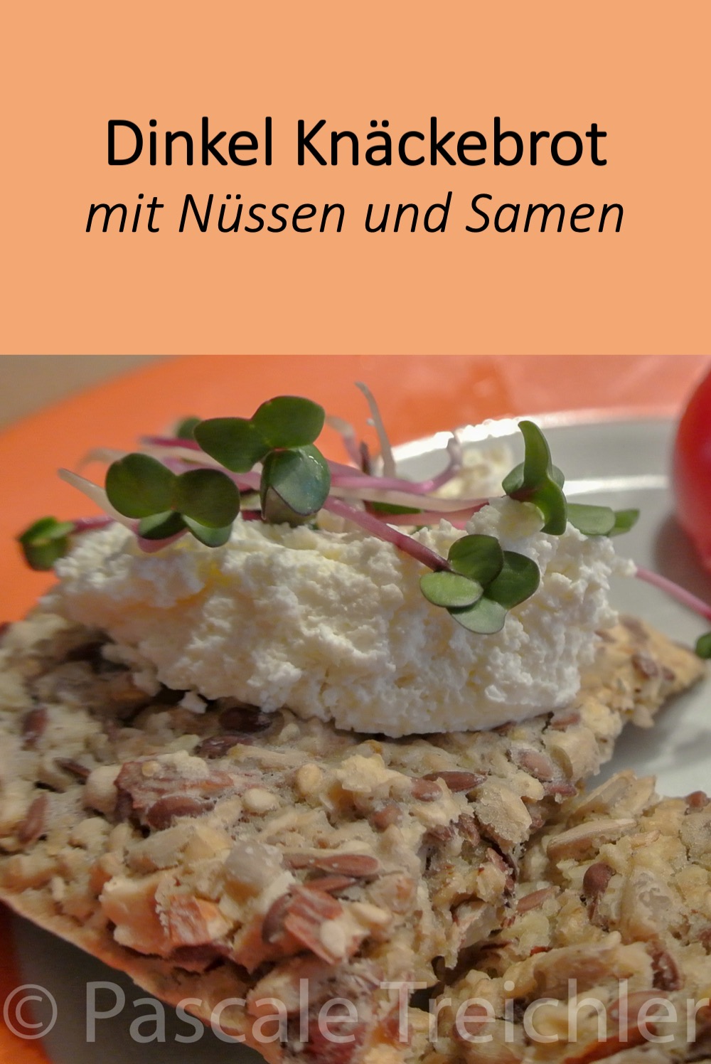 Dinkel Knäckebrot
Knäckebrot selber machen
Knäckebrot mit Nüssen und Samen