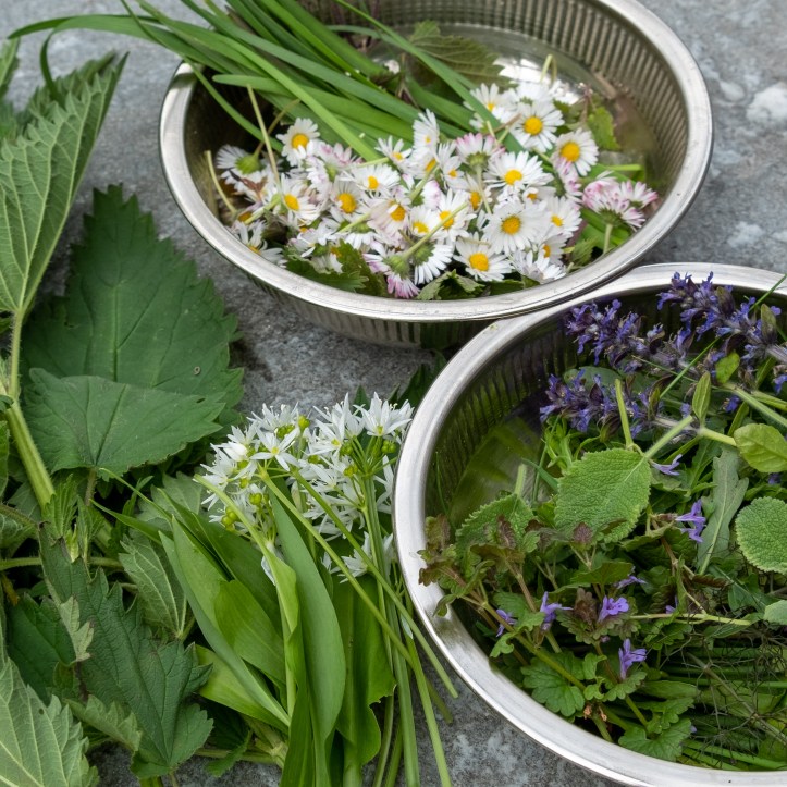 7 Frühlingskräuter zum Ernten im März