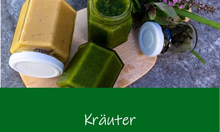 Kursausschreibung Kräuter im Garten und in der Küche